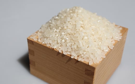 【先行予約】 令和7年産 黒澤のはえぬき 5kg 米 お米 おこめ 山形県 新庄市 F3S-2079