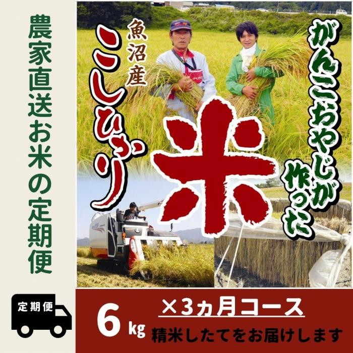 
【特別栽培米】３か月定期便　がんこおやじが作った南魚沼産コシヒカリ白米６kg（３kg×２袋）
