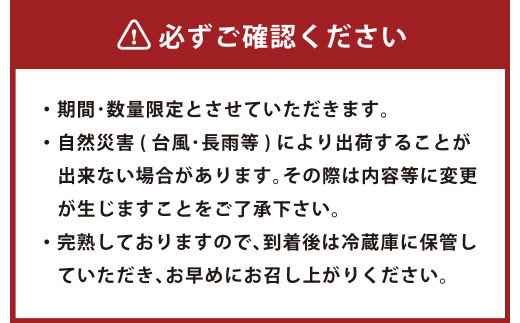 ＜宮崎県産 完熟マンゴー 2L×2玉＞ ※2026年5月上旬～7月中旬までに順次出荷 マンゴー 果物 くだもの フルーツ 完熟 南国