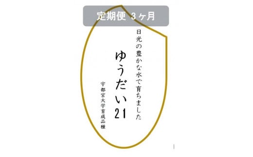 【定期便３ヶ月】令和6年産　ゆうだい21　白米10kg（5kg×2袋）