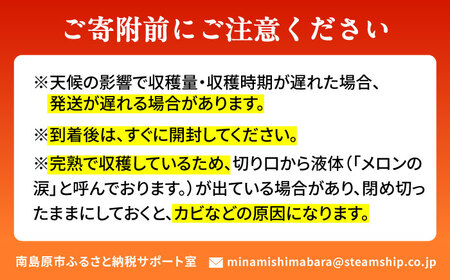 【2026年7月下旬-発送】アールスメロン 2玉 約3.2kg / メロン めろん 果物 フルーツ / 南島原市 / うえだメロン園[SAD011]