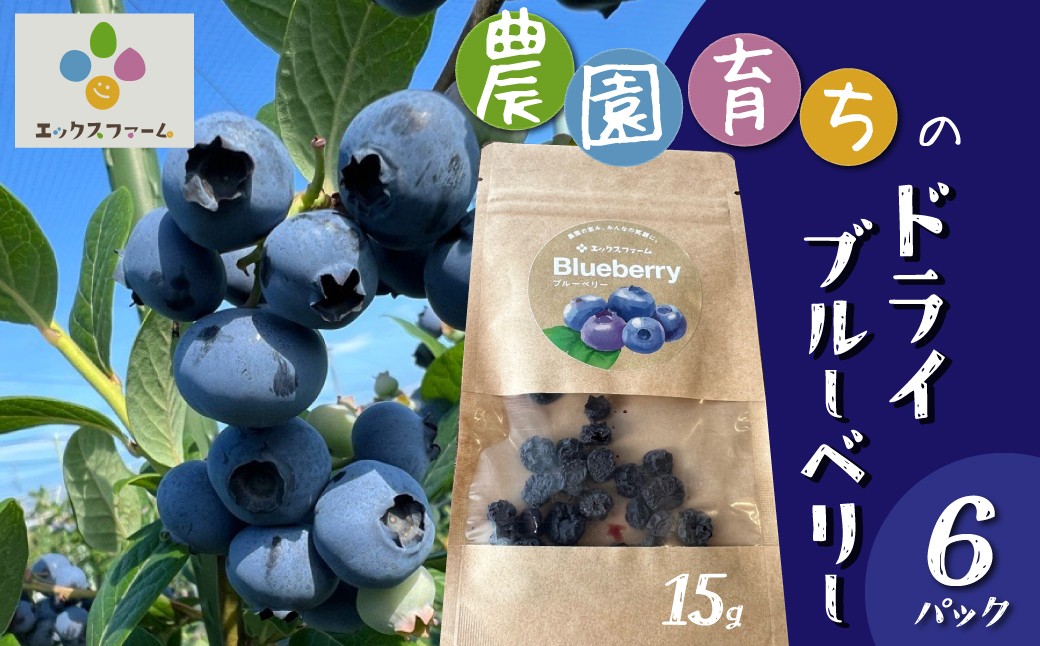
                  【無添加・砂糖不使用】農家が本気で作ったドライブルーベリー（15g×6パック） ドライフルーツ 乾燥 自然派 シンプル やさしい 甘酸っぱい H164-014
                