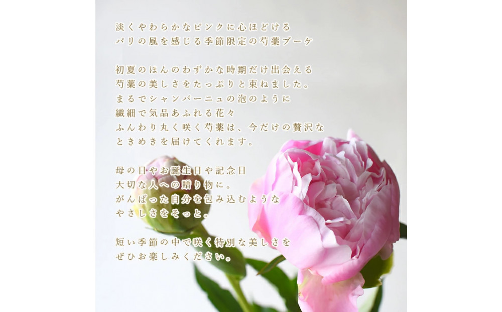【母の日】ピンクシャンパーニュ＜お届け日：2026年5/4～5/10 当店おまかせ ＞母の日カード付き【 母の日 ギフト アレンジ 花 贈り物 大阪府 門真市 】