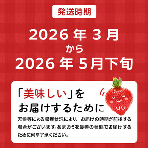 【数量限定】【訳あり】ファミリー向け　あまおう2パック_Fi068_訳あり あまおう いちご イチゴ 訳あり あまおう いちご イチゴ 訳あり あまおう いちご イチゴ 訳あり あまおう いちご イチ