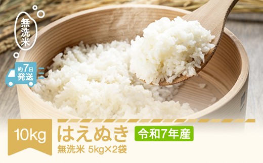 【スピード配送】米 コメ 10kg 5kg×2 はえぬき 無洗米 令和7年産 2025年産 山形県産 tf-hamxa10