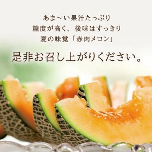 SA2869　庄内メロン/赤肉　レノンウェーブ　約5kg(4～5玉入)