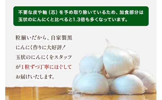 乾燥にんにく 無選別バラ1kg（500g×2） 青森県産 [ニンニク にんにく 野菜 根菜 国産 青森 十和田市]