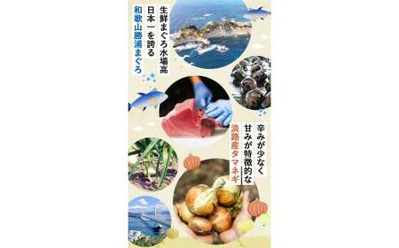 勝浦まぐろのメンチカツ 50個（25個×2袋） / 勝浦マグロ まぐろ マグロ メンチ 揚げ物 惣菜 おかず お弁当 揚げ物 田辺市 和歌山県【han002】
