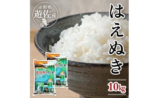 はえぬき 計10kg 5kg×2袋 令和7年産米 山形県遊佐産  東北 遊佐町 庄内地方 庄内平野 米 お米 精米 白米 庄内米 ごはん ご飯