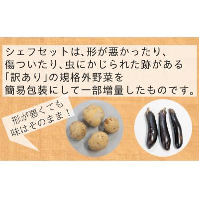 ふるさと納税 掛川市 【毎月定期便】【フードロス対応・規格外野菜利用】　有機野菜　シェフMセット　オーガニック野菜全12回 |  | 01