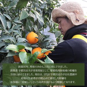 愛媛県西予市産　小玉みかん　3kg