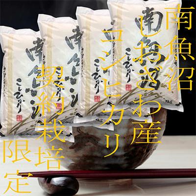 ふるさと納税 南魚沼市 【発送月固定定期便】生産者限定 契約栽培 南魚沼しおざわ産コシヒカリ 精米20Kg全3回