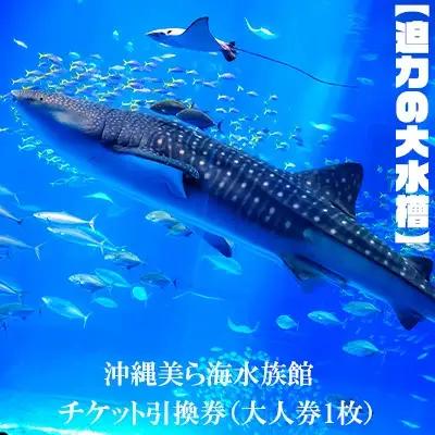 【迫力の大水槽】沖縄美ら海水族館　チケット引換券＜大人券1枚＞ 水族館 