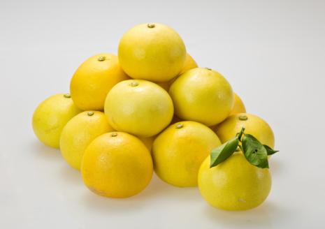 AS-2133 鹿児島県産サワーポメロ 6kg 【季節限定：2月中旬から順次発送予定】