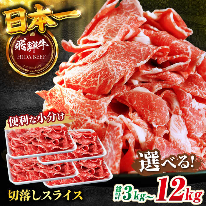 【ふるさと納税】【選べる定期便回数】 飛騨牛 切り落とし 1kg（250g×4P）和牛 焼肉 小分け 牛肉 飛騨牛 切り落とし きりおとし 切りおとし 肉 牛肉 和牛 炒め物 牛丼 生姜焼き 小分け 岐阜市 / 丸福商店 [ANBO048][ANBO049][ANBO050]