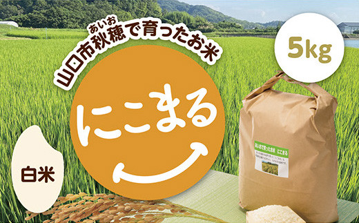 D420 あいお（秋穂）で育ったお米 にこまる 白米 5kg