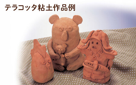 焼かなくても丈夫！ ニューテラコッタ粘土 12点  多治見市 / 美濃粘土[TBD012]