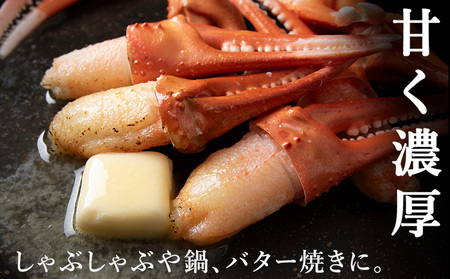 【6月発送】【厳選品】むき済 紅ズワイガニ爪 500g 海鮮