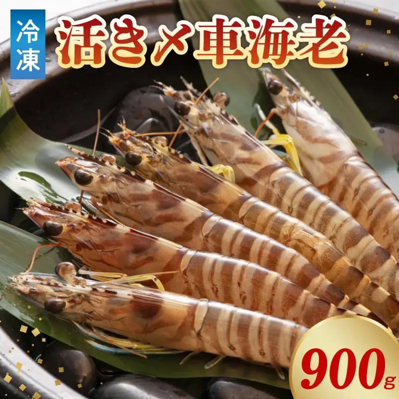 S065-003A_活き〆冷凍車海老 900g (400g×1パック・500g×1パック)  / 活き〆 車海老 真空パック 新鮮 凍結 エビ 天ぷら 豊かな甘み 塩焼き 素材の味 味噌漬け エビフライ 魚介類 天草 冷凍 養殖 シーフード 海産物 海鮮 海の幸 熊本県 天草市 自社養殖 急速冷凍 お取り寄せ お取り寄せグルメ 送料無料