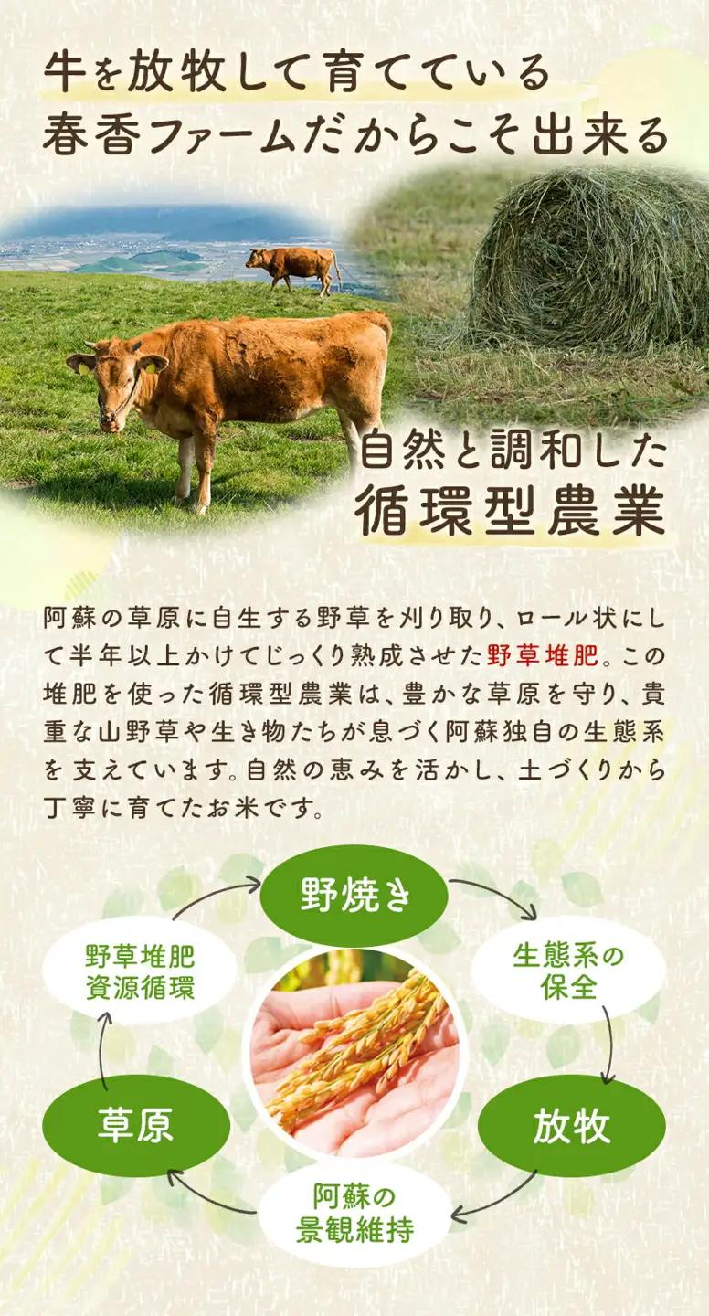 令和8年産 玄米 おとみや日和 阿蘇の名水と野草堆肥のめぐみ 10kg 春香ファーム