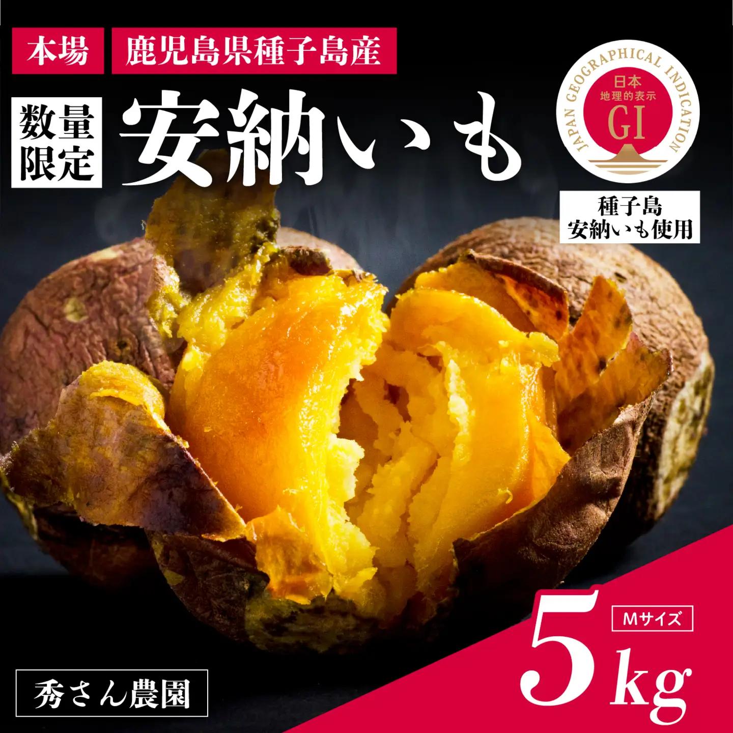 種子島 安納いも 5kg（Mサイズ：200g～300g）（秀さん農園）さつまいも 本場 安納芋 安納紅 安納こがね さつま芋 甘い ねっとり スイーツ おやつ グルメ お取り寄せ 人気 種子島産 返礼品 南種子町 鹿児島【南種子町観光物産館 トンミー市場】