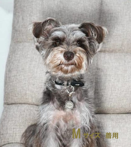 ｅｊブランド『　i-LACQ　』アイ・ラシク ペット用アンティーク調　迷子札　ネームタグ SILVER　燻し加工　Lサイズ ALPDL026