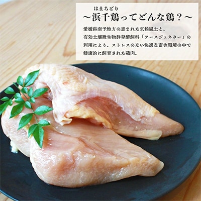 浜千鶏セット・浜千鶏焼き鳥セット【F29−3】【複数個口で配送】【配送不可地域：離島】【4011838】