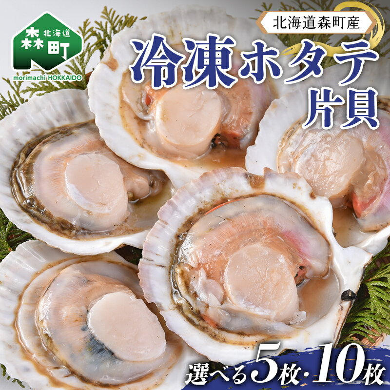 【ふるさと納税】＼選べる容量／ 北海道森町産 冷凍ホタテ 片貝5枚（14cm前後） 《 1袋・2袋 》 森町 ほたて 帆立 ホタテ 海産物 魚貝類 mr1-1384