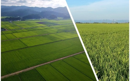 【令和8年産先行予約】  Gセレクション はえぬき 白米 10kg(5kg×2袋) 山形県鶴岡市産　株式会社グラノフ