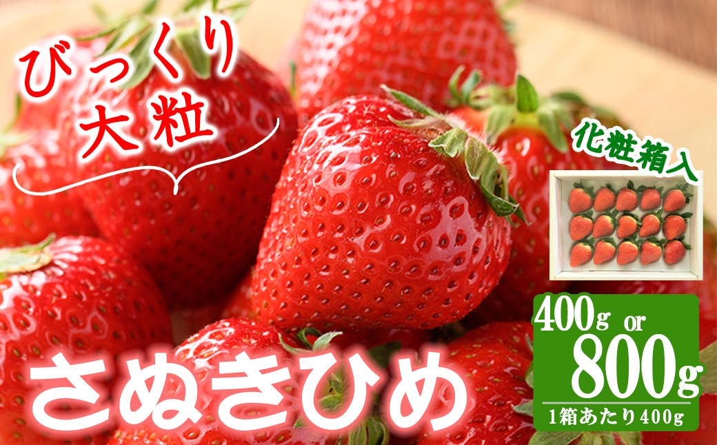 
                  ＜期間限定！2026年2月中旬以降順次発送予定＞＜贈答用＞＜選べる容量＞香川県産 さぬきひめいちご(約400g・約800g/1箱約400g) 苺 イチゴ いちご ストロベリー ブランド 果物 フルーツ 産地直送 【man100・man101】【Aglio nero】
                