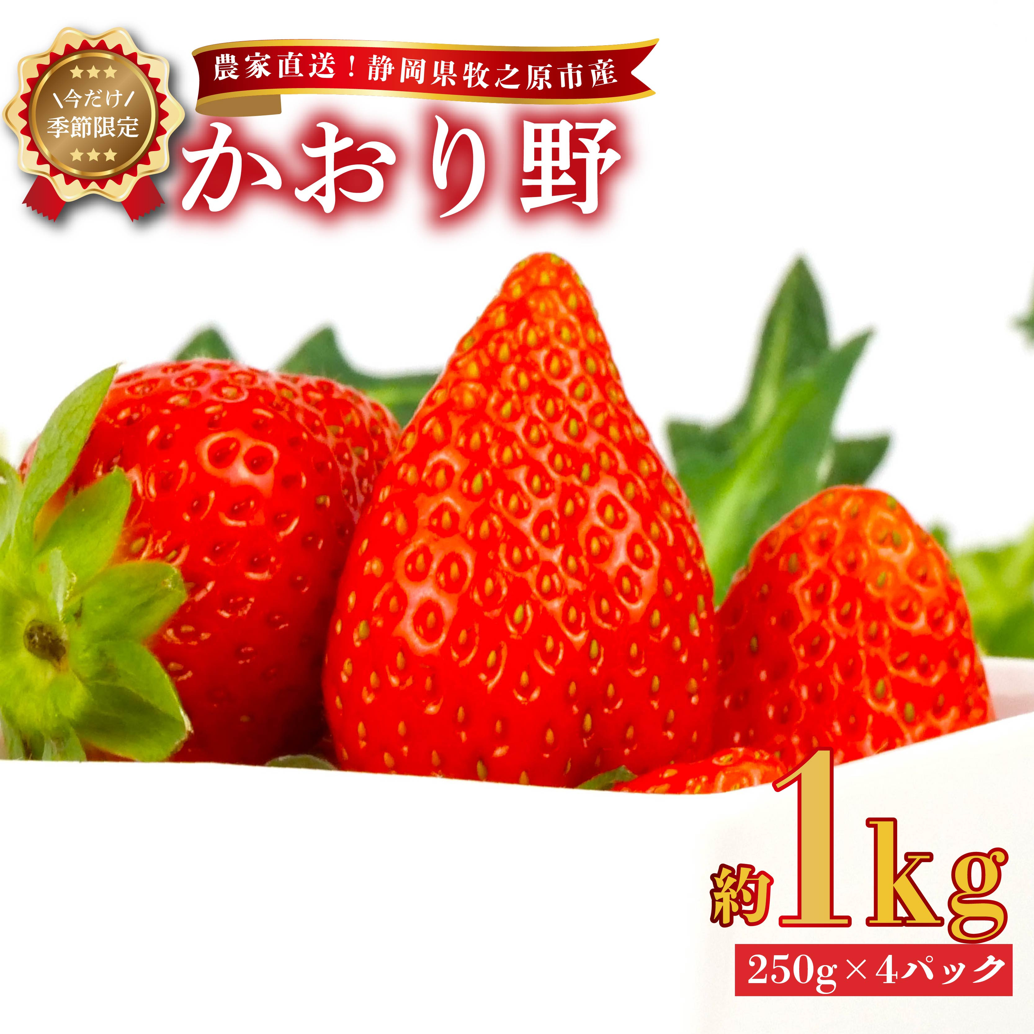 
            【 2026年2月中旬から順次発送 】いちご かおり野 1kg 250g × 4パック 予約受付 期間限定 数量限定 苺 イチゴ ストベリー ベリー フルーツ スイーツ デザート くだもの 果物 果汁ストロベリー 甘い おいしい 国産 安心 濃厚 新鮮 フレッシュ 贈答用 プレゼント お歳暮 産地直送 農家直送 静岡いちご 静岡苺 牧之原いちご牧之原苺 かおりの 静岡県 牧之原市 有限会社ヤマセン
          