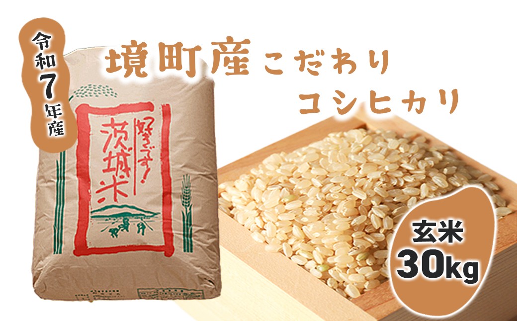 
                  米 玄米 コシヒカリ 30kg 令和7年産 国産 米 茨城県 境町産 大容量 数量限定 こしひかり お米 人気 おすすめ 30キロ S253
                