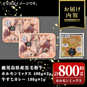 【A91031】黒毛和牛ホルモンミックス(計800g)＋黒毛和牛牛すじだらけのカレー(1袋)セット！ 鹿児島 国産 牛肉 黒毛和牛 牛肉専門店 和牛日本一 惣菜 おかず 牛すじ ホルモン ミックス レ