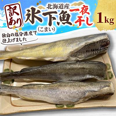 ふるさと納税 厚岸町 【訳あり】北海道産 氷下魚 一夜干し 1kg