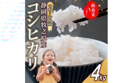 【事前受付】令和7年度産 新米 コシヒカリ 米 4kg  精米 白米 国産 おいしい お米 こめ 静岡県 牧之原市  日用品 日常  9月~10月発送 ご飯 ごはん ふっくら もちもち 炭水化物  主食 家庭用 贈答