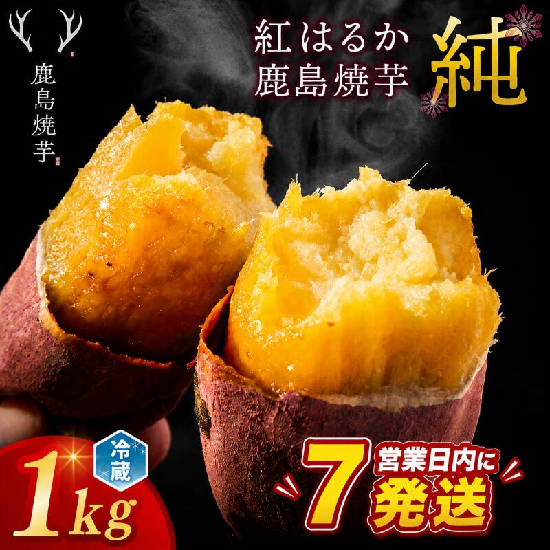 【ふるさと納税】 【スピード発送】 冷蔵 熟成 焼き芋 鹿島焼芋 純 1kg 紅はるか べにはるか ひやしいも 冷やし 焼き芋 やきいも さつまいも ねっとり 熟成芋 お菓子 おやつ デザート スイーツ 子供 家族 贈答 送料無料 ふるさと納税 美味しい 人気 茨城県 鹿嶋市