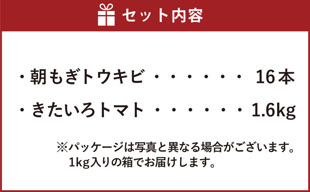 きたいろトマト （1.6kg）と 朝もぎトウキビ （16本）のセット