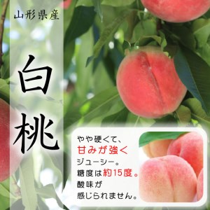 山形市産 白桃 秀品 約3kg [やや硬め] 【令和6年産先行予約】FU23-035