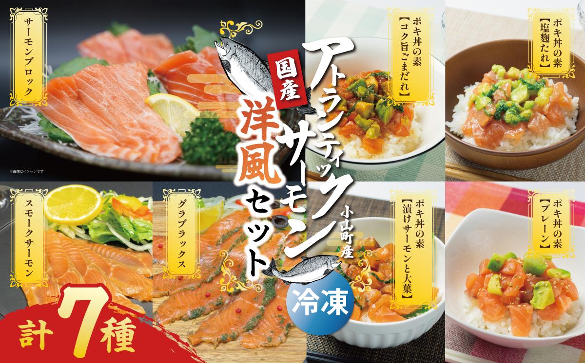 
                  小山町産アトランティックサーモン（冷凍）洋風セット | サーモン 小分け 真空パック 海鮮 魚介 魚 国産 鮭 ポキ丼 スモークサーモン 燻製 グラブラックス しゃけ サケ 静岡県 小山町
                