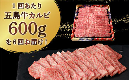 【全6回定期便】【幻の和牛！とろける肉汁がたまらない…！】五島牛 特選 カルビ 600g 焼肉 牛肉 牛 肉 お肉 国産 和牛 赤身【カミティバリュー】[RBP042]