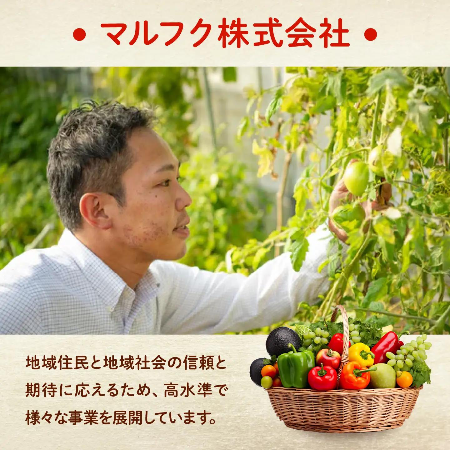 豆腐 愛菜連のよせ豆腐 4丁 [BAFW007] 豆腐
