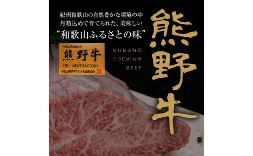 熊野牛 加工品バラエティセットミニ