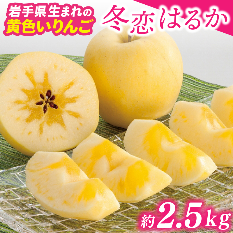 りんご はるか 「冬恋はるか」 約2.5kg 糖度15度以上【先行予約 12月発送予定】 数量限定 岩手県産 りんご リンゴ 林檎 冬恋 はるか フルーツ くだもの 果物 【冬恋研究会】 (AI022)