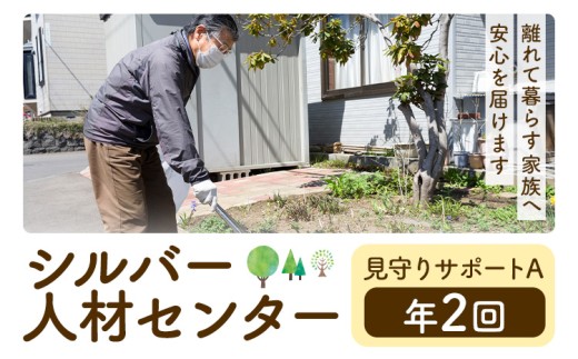 ふるさと安心 サポート 見守りサポート A 年2回 さつま町シルバー人材センター《配送無し》見守り サービス サポート 代行 代行サービス 親 高齢者 実家 帰省 祖父 祖母 家族 孝行 親孝行 安心