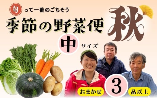 【先行予約】～旬っていちばんのごちそう～ひぐらし農場 季節の野菜便（秋）中サイズ（7-A37）