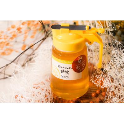 ふるさと納税 大垣市 【国産】くろがねもちはちみつ　450g　パッカー容器