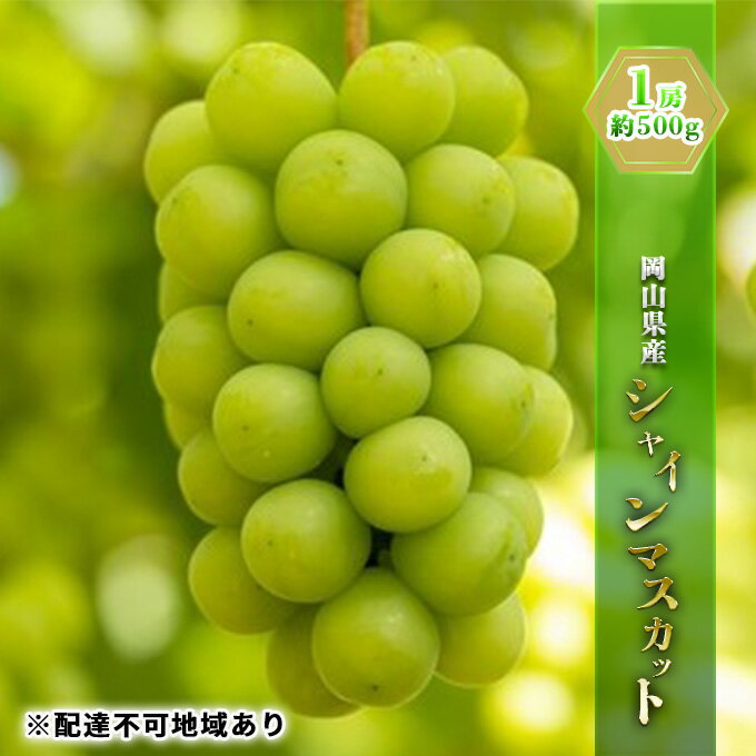 【ふるさと納税】ぶどう 2025年 先行予約 シャイン マスカット 1房 約500g ブドウ 葡萄 岡山県産 国産 フルーツ 果物 ギフト 　お届け：2025年8月下旬～2025年9月下旬