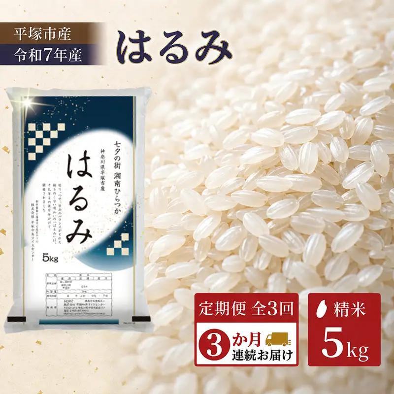 【 定期便3か月 】 精米 令和7年産 はるみ 5kg 特Aランク 米