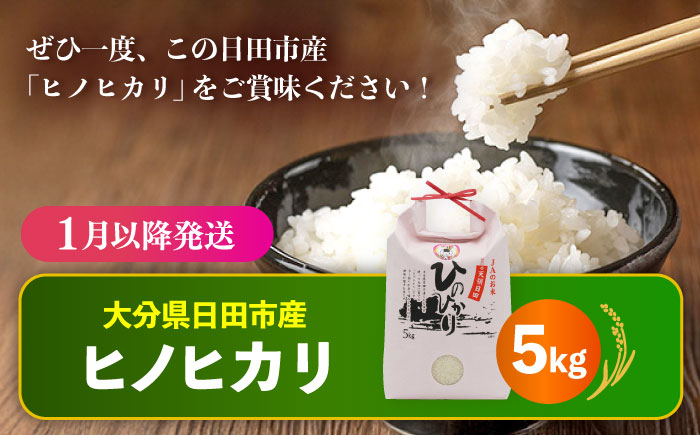 【先行予約・26年1月以降発送】令和7年産大分県産ヒノヒカリ 5kg　日田市 / JAおおいた日田グリーンセンター こめ コメ 米 [ARDX007]