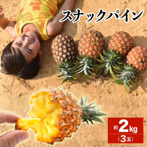 2026年 先行予約 スナックパイン 約2kg 3玉 西表島ひらい農園 パイナップル 果物 フルーツ パイン 027-a009_2026